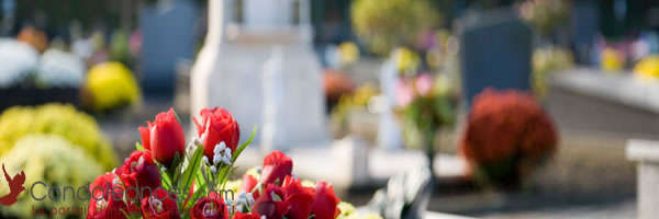 Cérémonies civiles et religieuses : coutumes des fleurs de deuil.