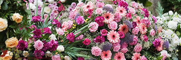 Les variétés de fleurs de deuil à choisir pour des obsèques.
