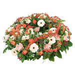 Couronne plate