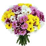 Bouquet de chrysanthèmes